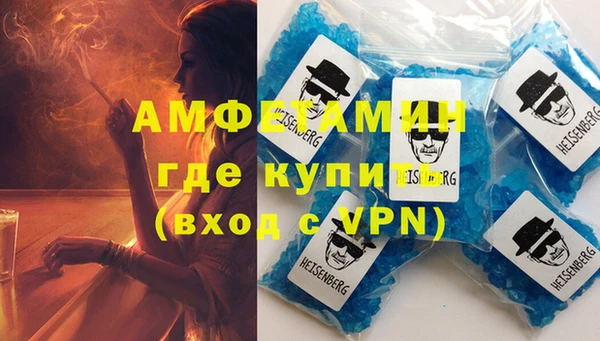 индика Алзамай