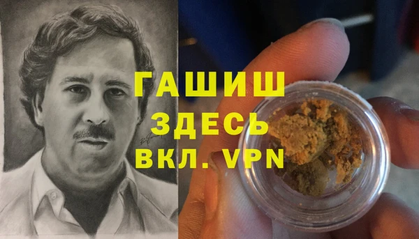 индика Алзамай