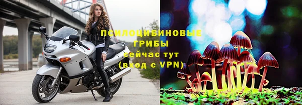 индика Алзамай