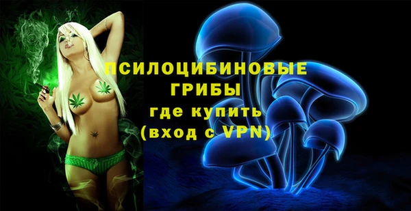 ECSTASY Алексеевка