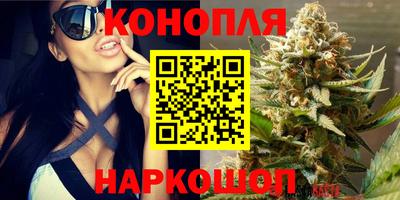 СК Камышлов