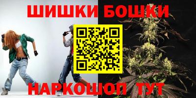 прущие грибы Кандалакша