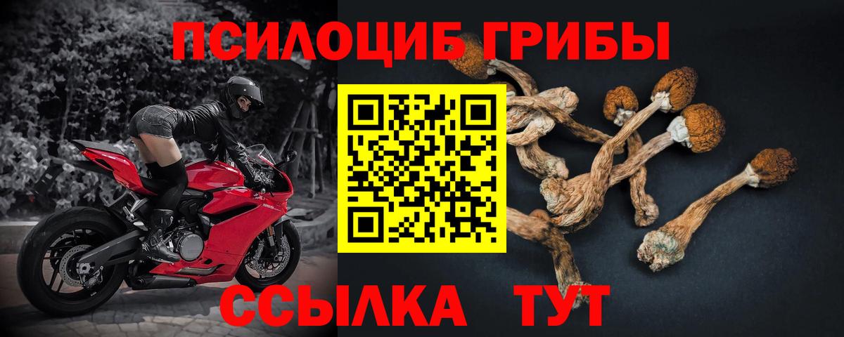 Магадан  Псилоцибиновые грибы прущие грибы  Псилоцибиновые грибы MAGIC MUSHROOMS  Вход с VPN 